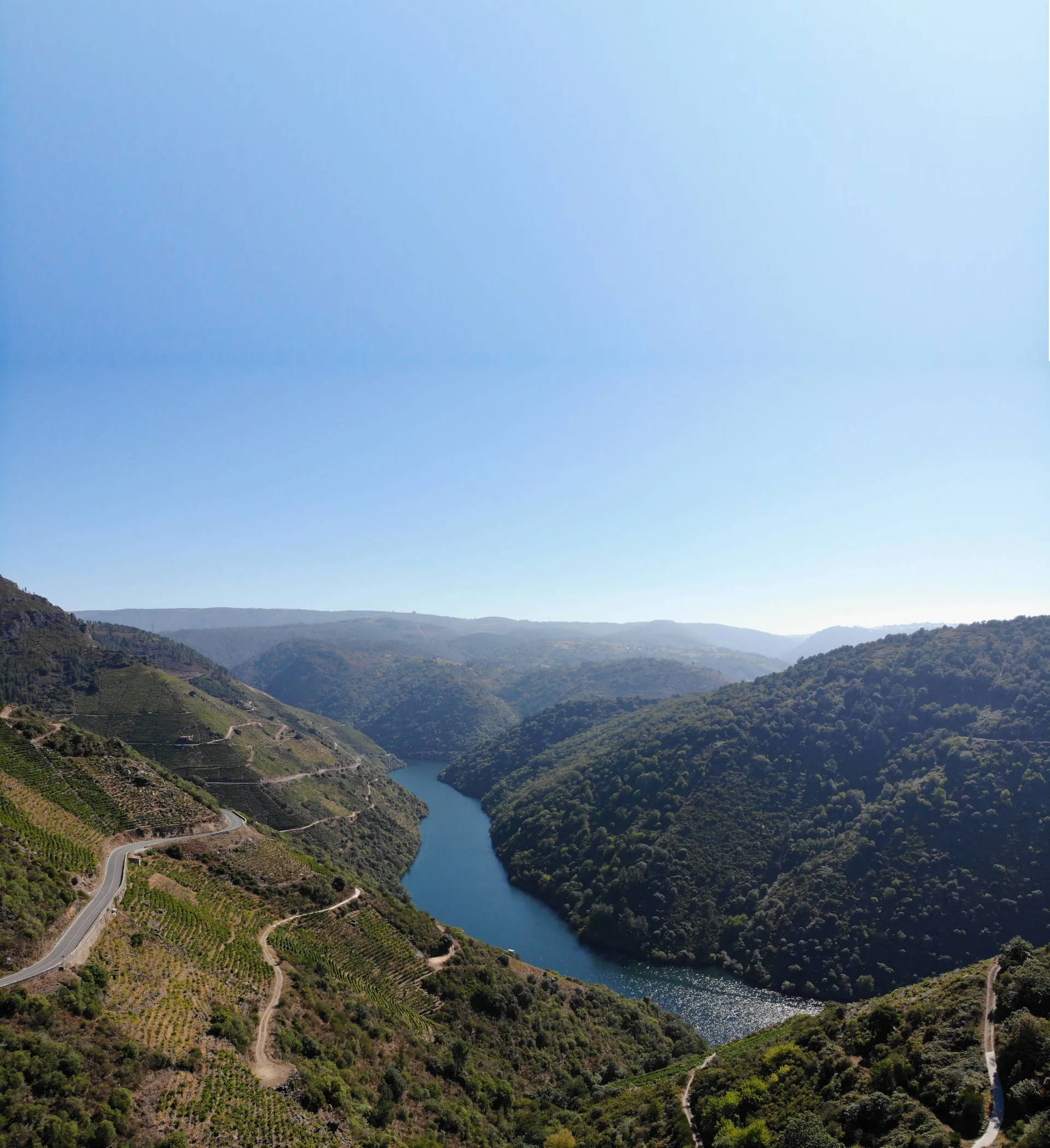 Weinbau in Spanien